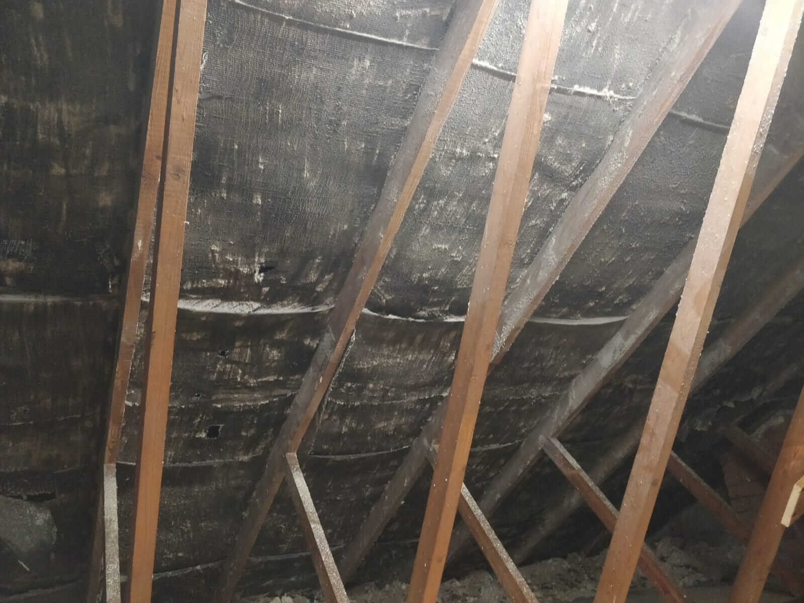 House rafters after polar blast has Professional removed spray foam insulation