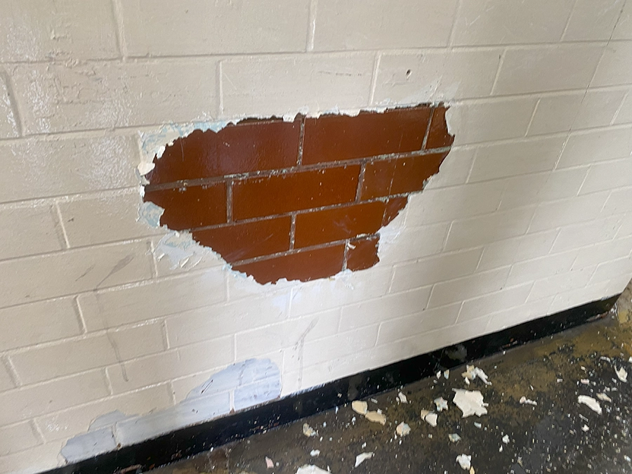 DOFF Steam Cleaing Paint off Walls DOFF Steam Cleaing Paint off Walls